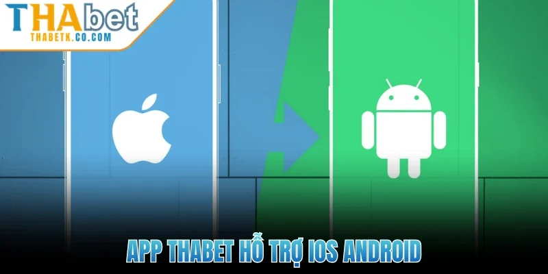 Thabet 16 App Thabet hỗ trợ iOS Android