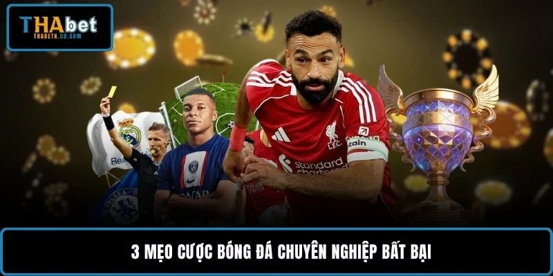 3+ Mẹo Cược Bóng Đá Chuyên Nghiệp Khi Soi Kèo Bóng Đá 1 3 mẹo cược bóng đá chuyên nghiệp bất bại