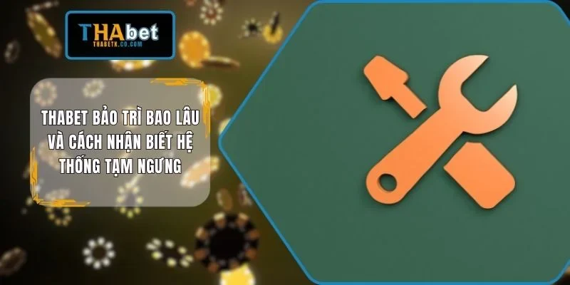 THABET bảo trì bao lâu