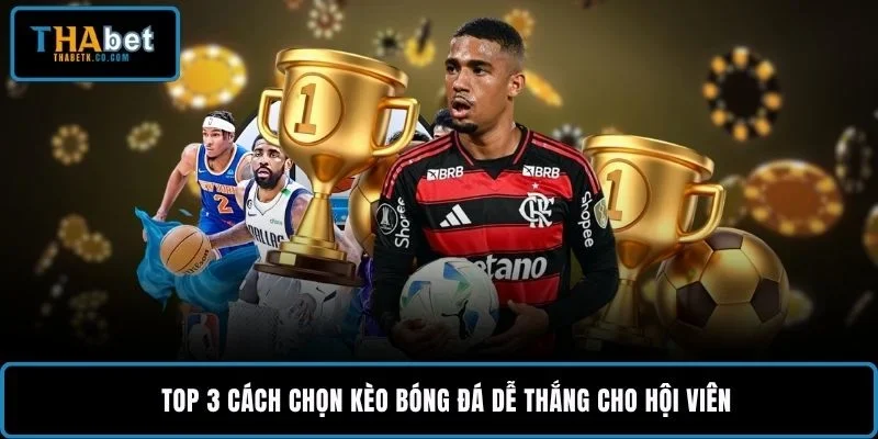 Cách Chọn Kèo Bóng Đá Dễ Thắng Khi Soi Trận Hiệu Quả 1 Top 3 cách chọn kèo bóng đá dễ thắng cho hội viên